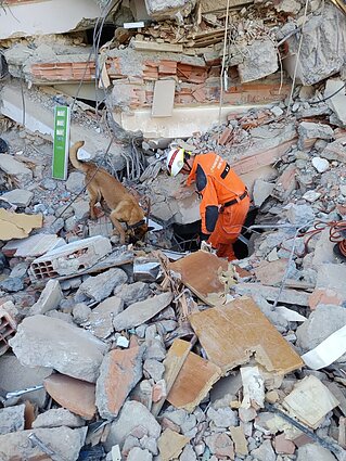 Tragedijos ištiktoje Venesueloje – intensyvus Lietuvos gelbėtojų ir medikų komandų darbas Tragedijos ištiktoje Venesueloje – intensyvus Lietuvos gelbėtojų ir medikų komandų darbas