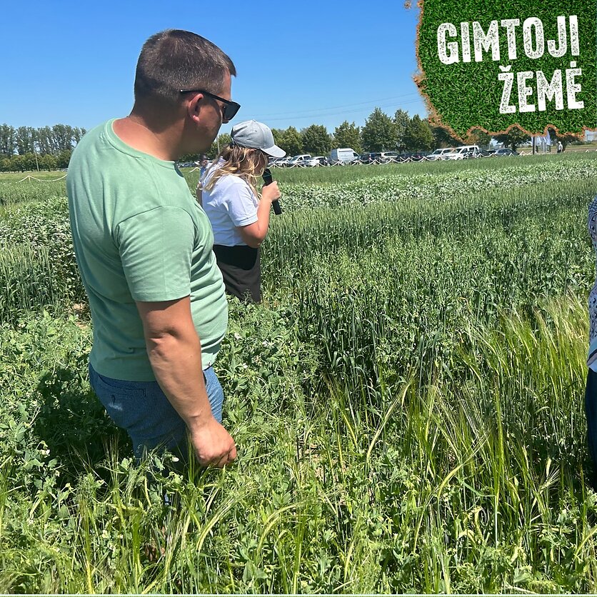 LRT./Rūta Simanavičienė, Lauko diena.