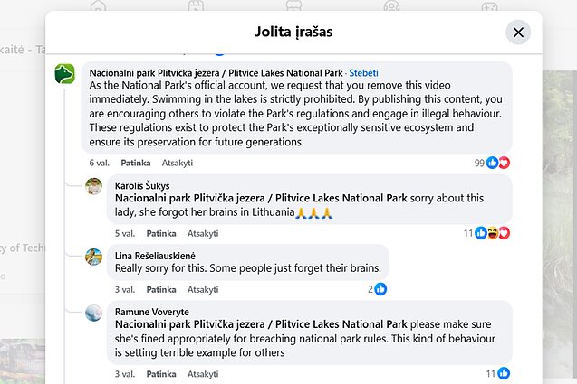 Lietuvės paskelbtas įrašas socialiniame tinkle sukėlė tikrą audrą Lietuvės paskelbtas įrašas socialiniame tinkle sukėlė tikrą audrą