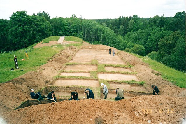 Archeologiniai tyrimai, 2003 metai Archeologiniai tyrimai, 2003 metai