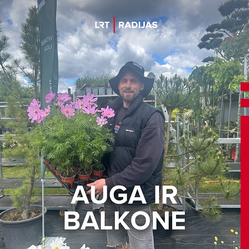 Nakų dekoratyvinių augalų ūkio atstovas Martynas Nakas.