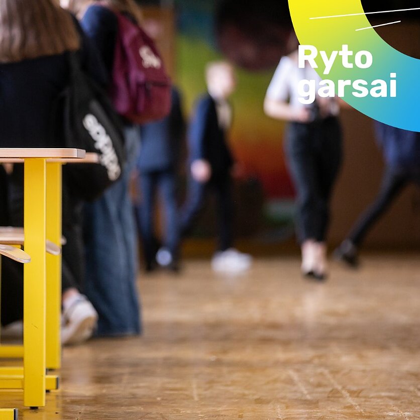 D. Umbraso / LRT nuotr., Mokykla, asociatyvi nuotr. 
