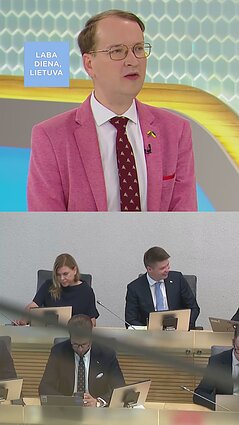 Baltrukevičius apie Vyriausybės programą: labiau orientuota į principus