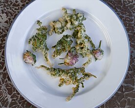 Dilgėlių sėklų ir dobilų tempura Dilgėlių sėklų ir dobilų tempura