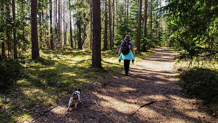 Atsakė, kiek žingsnių kasdien reiškia sveikatą: 7 tūkst. mažina vėžio ir demencijos riziką Atsakė, kiek žingsnių kasdien reiškia sveikatą: 7 tūkst. mažina vėžio ir demencijos riziką