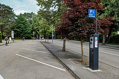Palanga. Automobilių parkavimas kurorte Palanga. Automobilių parkavimas kurorte