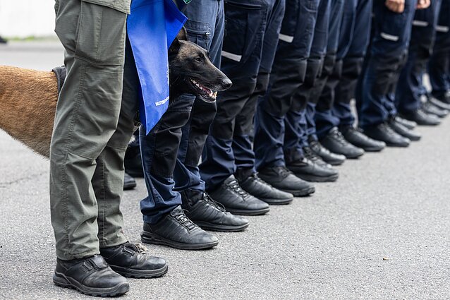 Valstybinės priešgaisrinės gelbėjimo tarnybos gelbėjimo ir paieškos komandos (LERT) pasitikimas po misijos Venesueloje Valstybinės priešgaisrinės gelbėjimo tarnybos gelbėjimo ir paieškos komandos (LERT) pasitikimas po misijos Venesueloje
