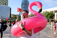 Flamingų revoliucija Albanijoje Flamingų revoliucija Albanijoje