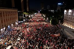 Flamingų revoliucija Albanijoje Flamingų revoliucija Albanijoje