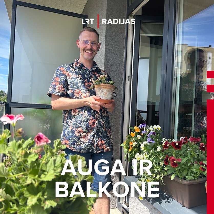 LRT./ Rūta Simanavičienė, Balkono sodininkas, vaistininkas, kraštovaizdžio inžinierius Mindaugas Rutalė iš Vilniaus.