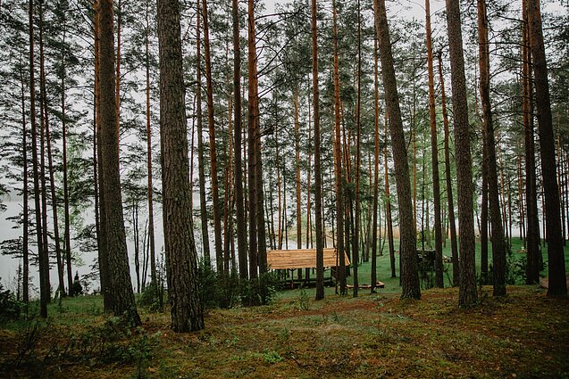 Asalnų stovyklavietė Asalnų stovyklavietė
