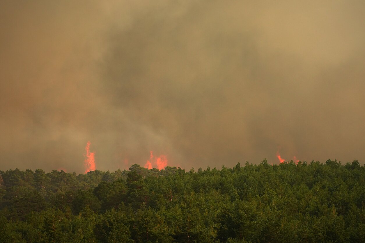 Miško gaisras Ispanijoje Miško gaisras Ispanijoje