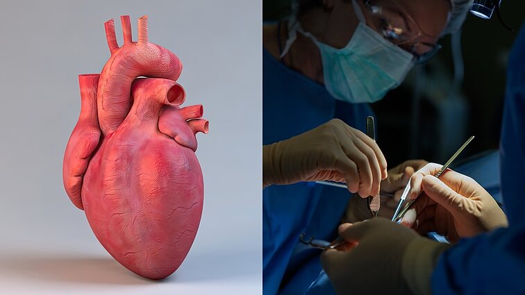 Per savaitę – 3 širdies transplantacijos Santaros klinikose: „Išskirtinis atvejis Lietuvai“