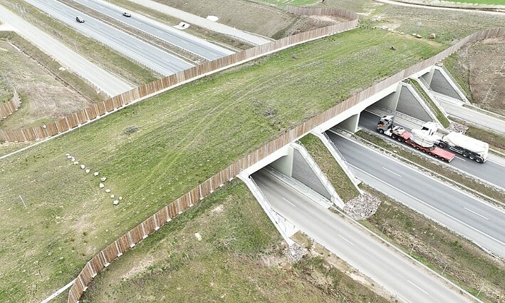 „Via Lietuva“ atstovas: matome, kad laukiniams gyvūnams skirti viadukai labai pasiteisina
