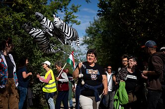 Protestuotoja su zebrų balionais Protestuotoja su zebrų balionais