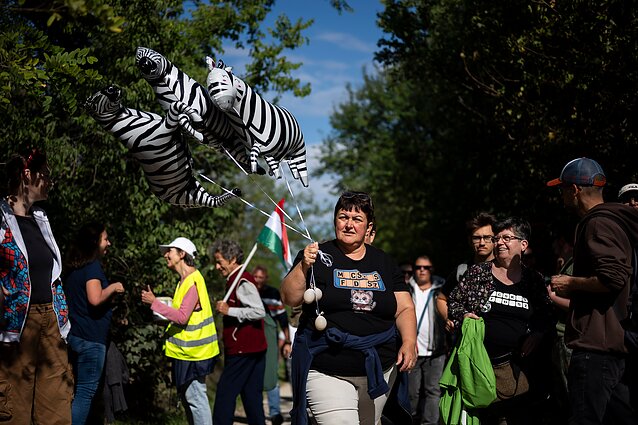 Protestuotoja su zebrų balionais Protestuotoja su zebrų balionais