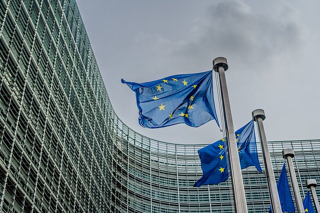 Europos Sąjunga. Europos Sąjunga.