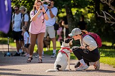 Walk15 žygis su augintiniais Vilniaus Upės festivalyje Walk15 žygis su augintiniais Vilniaus Upės festivalyje