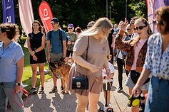 Walk15 žygis su augintiniais Vilniaus Upės festivalyje Walk15 žygis su augintiniais Vilniaus Upės festivalyje