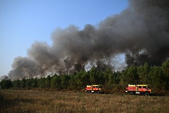 Forest fires in France.