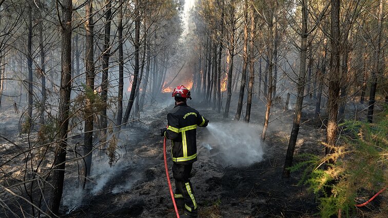 „Penkias dienas miegojom palapinėje“: pamažu suvaldant miškų gaisrus, gyventojai grįžta namo „Penkias dienas miegojom palapinėje“: pamažu suvaldant miškų gaisrus, gyventojai grįžta namo