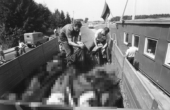 Убийства в Мядининкай 31 июля 1991 года Убийства в Мядининкай 31 июля 1991 года