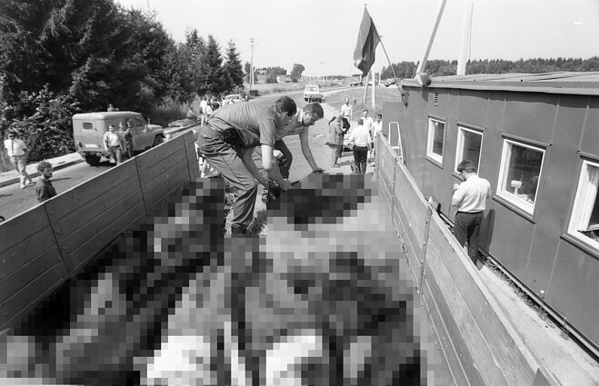 Убийства в Мядининкай 31 июля 1991 года Убийства в Мядининкай 31 июля 1991 года