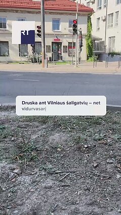 Jaudinamasi dėl sostinės medžių būklės: kodėl po žiemos vis dar likę barstytos druskos?