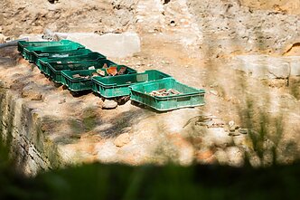 Vokiečių g. atveriami Didžiosios sinagogos istorijos sluoksniai