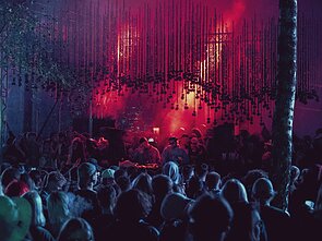 Festivalio „Šaknys“ akimirka Festivalio „Šaknys“ akimirka