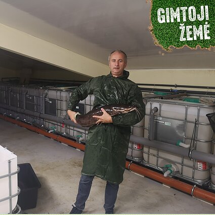 Šamų augintojas Darius Stankevičius.