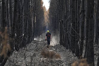 Pożary leśne we Francji Pożary leśne we Francji