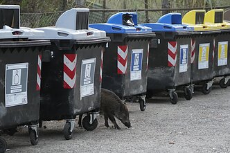 Šiukšlių konteineriai Italijoje. Asociatyvi nuotr.