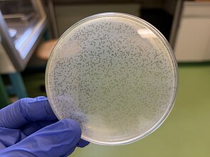 Laboratorija, asociatyvi nuotr.,