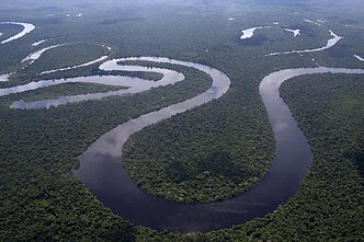 Amazonės džiunglės