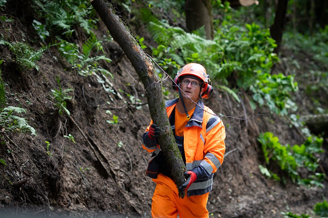 Massive storm leaves Lithuanian towns without water and power for days