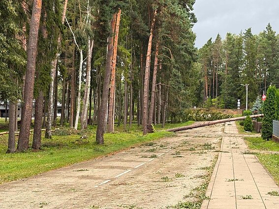 Audra nusiaubė Kazlų Rūdos savivaldybę Audra nusiaubė Kazlų Rūdos savivaldybę
