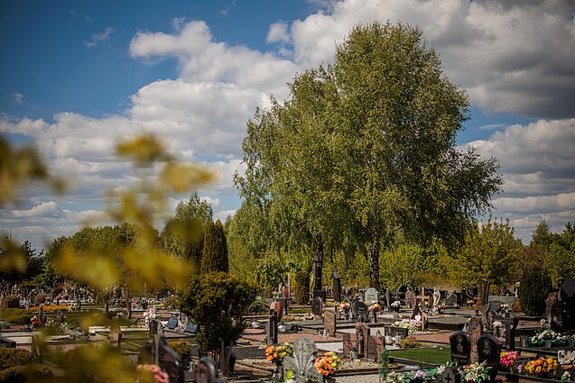 Kapinės. Asociatyvi nuotr. Kapinės. Asociatyvi nuotr.