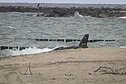 Baltijos jūroje rastas dronas