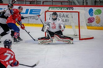 Vilniaus „Hockey Punks“