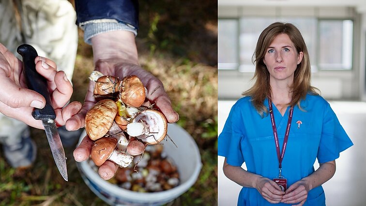 Toksikologė apie apsinuodijimą grybais: negalvokit, kad praeis, – kreipkitės į medikus