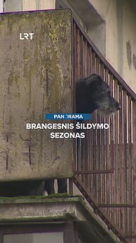 Rugsėjo 30-osios aktualijos