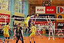 Baltijos tinklinio lyga