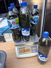 Vilniaus oro uosto muitininkai uzbeko lagamine rado šešis kilogramus „nasvajaus“ Vilniaus oro uosto muitininkai uzbeko lagamine rado šešis kilogramus „nasvajaus“