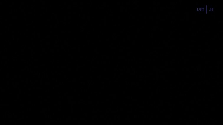 Poetas (su garsiniu vaizdavimu)