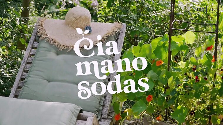 Čia mano sodas